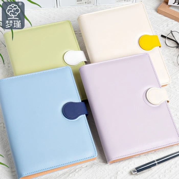 Conjunto de planejador de diário de folhas soltas